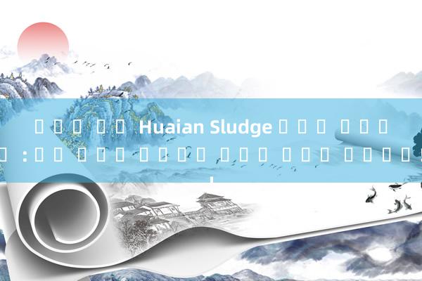 바카라 써드 Huaian Sludge 건조기 제조업체 : 환경 문제를 해결하고 깨끗한 미래를 만듭니다!